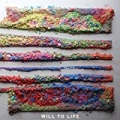 Will to Life by The Tall Ships
