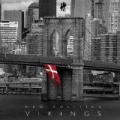 Vikings by New Politics