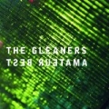 The Gleaners by Amateur Best