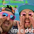 Imi E Dor (feat. Alex Velea) by Boier Bibescu