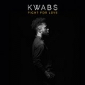 Fight For Love (Blonde Remix) [Radio Edit] by Kwabs
