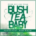 Bush Tea Baby (feat. Nana Binghi) by Pediko