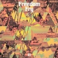 21 by Freedom Fry