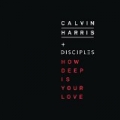 How Deep Is Your Love by Calvin Harris & Disciples
