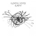 Elaenia by Floating Points