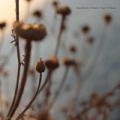 Fractals by Keep Shelly In Athens