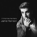 If I Only Knew Your Name by Jamie Harrison