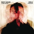 Angels & Ghosts by Dave Gahan & Soulsavers