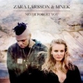 Never Forget You by Zara Larsson & MNEK
