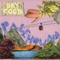 Dry Food by Palehound