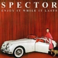 Enjoy It While It Lasts by Spector