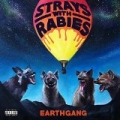 Strays with Rabies [Explicit] by EARTHGANG