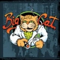 Big Cat by Big Cat