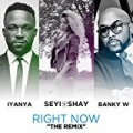 Right Now (Remix) [feat. Banky W & Iyanya] by Seyi Shay