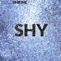Shy by Disco Shrine
