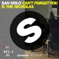 Can't Forget You by San Holo