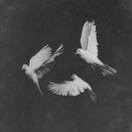 Untouchable [Explicit] by Pusha T