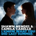 I Know What You Did Last Summer by Camila Cabello and Shawn Mendes