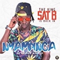 Nyampinga by Sat B