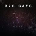 What If It Doesn't Get Better? by The Big Cats