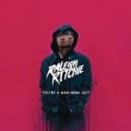 Never Better [Explicit] by Raleigh Ritchie