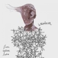 Wanderer by From Indian Lakes