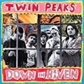 Down in Heaven by Twin Peaks
