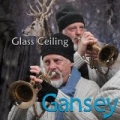 Glass Ceiling by Gansey
