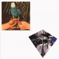 Are You Serious (Deluxe Edition) by Andrew Bird