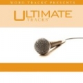 Guilty (As Made Popular By Newsboys) [Performance Track] by Ultimate Tracks