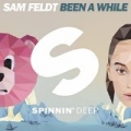 Been A While by Sam Feldt