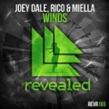 Winds (Original Mix) by Joey Dale & Rico & Miella