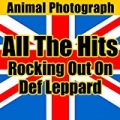 All the Hits: Rocking out on Greatest Def Leppard by Animal Photograph