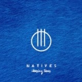 Chasing Lions by Natives