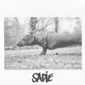 Sadie by Photay
