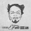 Facts [Explicit] by The Stitches
