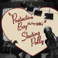 Pretective Boy (The Hey Mr. Version) by Skating Polly