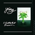 A Youthful Dream by Yung