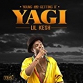 Y.A.G.I (Young and Getting It) [Explicit] by Lil Kesh
