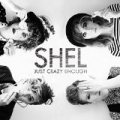 Just Crazy Enough by Shel