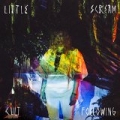 Cult Following by Little Scream