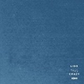 Crazy (Radio Edit) by Lido