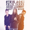 Can't Go Home (Radio Edit) by Steve Aoki & Felix Jaehn feat. Adam Lambert