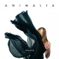 (Dissonance) by Animalia