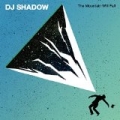 The Mountain Will Fall by DJ Shadow