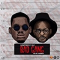 Bad Gang by Ajebutter22 feat. Falz