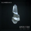 Open Fire (feat. Daniel Johns) by Slumberjack