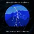 This Is What You Came For by Calvin Harris feat. Rihanna