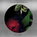 No Gold by Norma Jean Martine