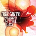 In Search Of Better Days by Incognito